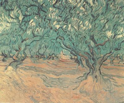 Vincent Van Gogh Olive Trees (nn04) France oil painting art